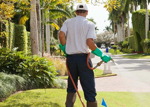 About Opolis KS Pest Control